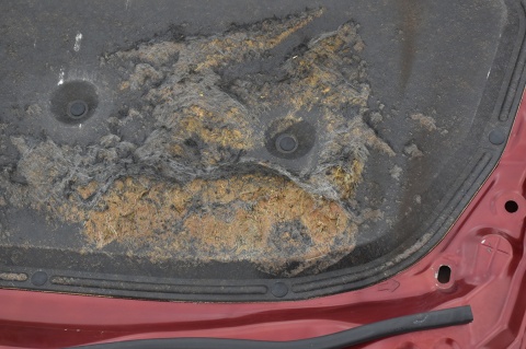 MASKA POKRYWA SILNIKA MAZDA CX 7