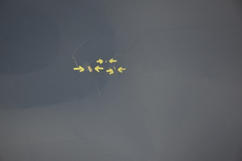 MASKA POKRYWA SILNIKA TOYOTA COROLLA VERSO I