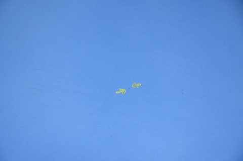 MASKA POKRYWA SILNIKA MAZDA 3 I