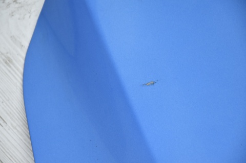 MASKA POKRYWA SILNIKA MAZDA 3 I