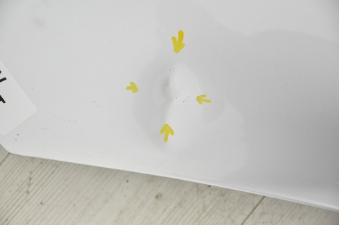 MASKA POKRYWA SILNIKA RENAULT SCENIC III 3 TED69