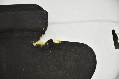 MASKA POKRYWA SILNIKA RENAULT SCENIC III 3 TED69