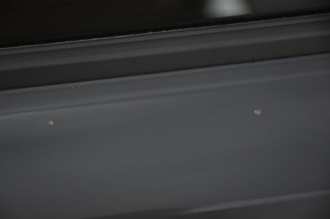 DRZWI PRZEDNIE PRZÓD PRAWE RANGE ROVER III L322