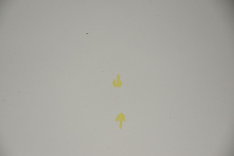 DRZWI TYLNE TYŁ PRAWE OPEL INSIGNIA SEDAN HB