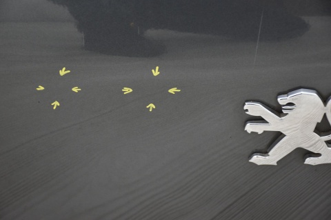 KLAPA TYLNA TYŁ PEUGEOT 3008