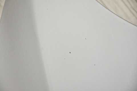 MASKA POKRYWA SILNIKA HYUNDAI SANTA FE II X2