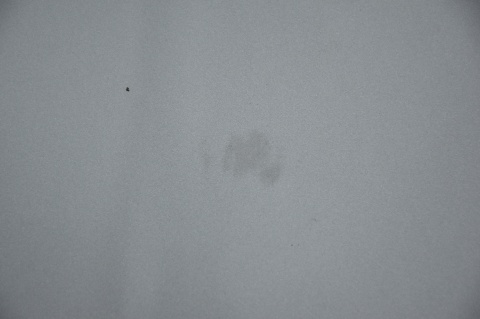 MASKA POKRYWA SILNIKA LAND ROVER FREELANDER I