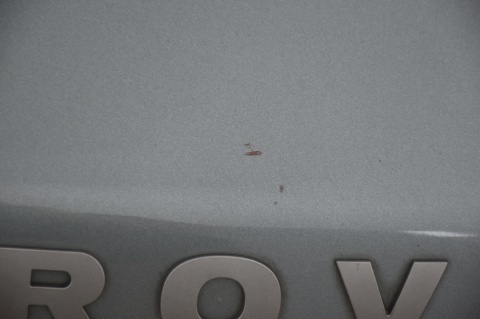 MASKA POKRYWA SILNIKA LAND ROVER FREELANDER I