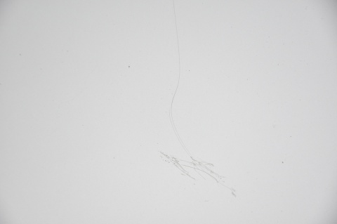 MASKA POKRYWA SILNIKA OPEL VECTRA C Z2AV SIGNUM