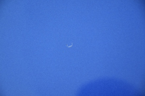 MASKA POKRYWA SILNIKA RENAULT CLIO III 3 CZGT