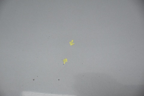 MASKA POKRYWA SILNIKA VW PASSAT B5 LIFT