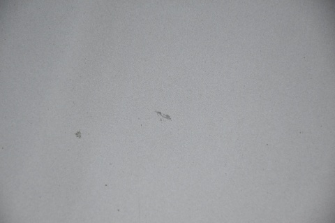 MASKA POKRYWA SILNIKA AUDI A6 C5 LY7Q