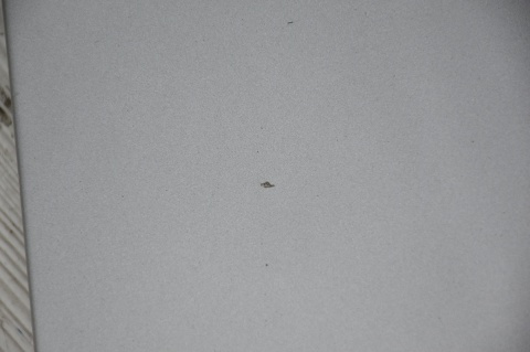 MASKA POKRYWA SILNIKA AUDI A6 C5 LY7Q