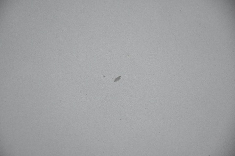 MASKA POKRYWA SILNIKA AUDI A6 C5 LY7Q