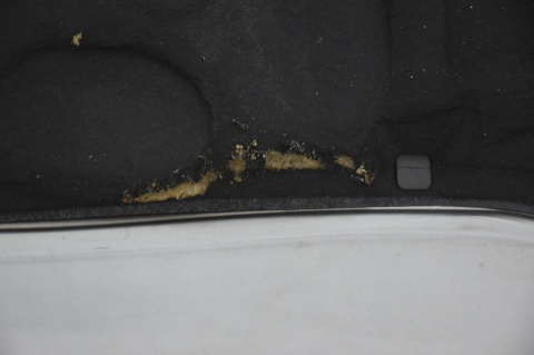 MASKA POKRYWA SILNIKA AUDI A6 C5 LY7Q