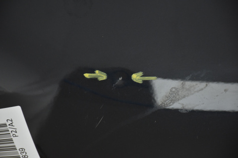 MASKA POKRYWA SILNIKA AUDI A6 C6