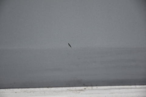 DRZWI TYLNE TYŁ LEWE BMW 1 E87