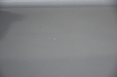 DRZWI TYLNE TYŁ LEWE BMW 1 E87