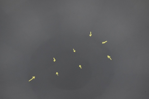 MASKA POKRYWA SILNIKA HYUNDAI SANTA FE II 2Z