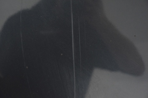 MASKA POKRYWA SILNIKA HYUNDAI SANTA FE II 2Z