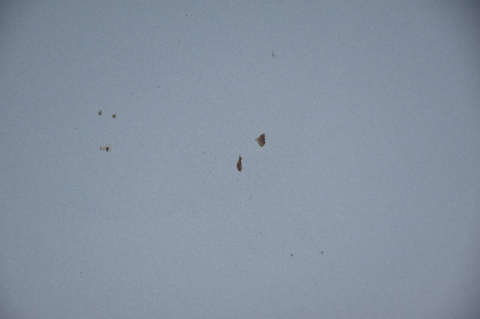 MASKA POKRYWA SILNIKA TOYOTA COROLLA E12 SEDAN