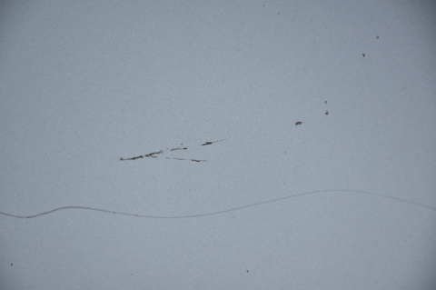 MASKA POKRYWA SILNIKA TOYOTA COROLLA E12 SEDAN