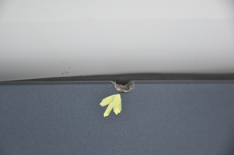 KLAPA TYLNA TYŁ PEUGEOT 508 I KOMBI