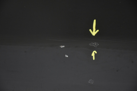 DRZWI PRZEDNIE PRZÓD LEWE BMW 1 E81