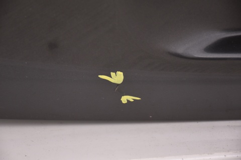 KLAPA TYLNA TYŁ PEUGEOT 508 I KOMBI