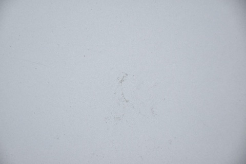 MASKA POKRYWA SILNIKA AUDI A6 C6