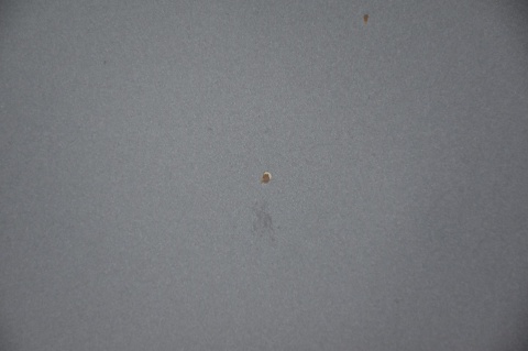 MASKA POKRYWA SILNIKA FORD S-MAX GALAXY MK3