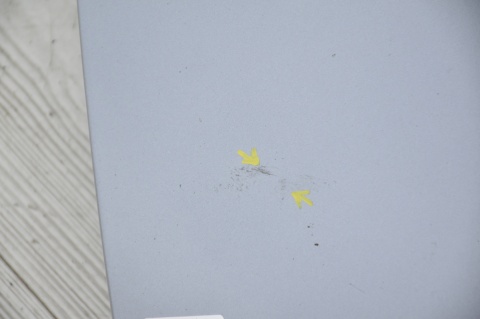 MASKA POKRYWA SILNIKA AUDI A6 C6