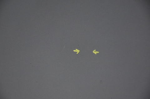 MASKA POKRYWA SILNIKA MAZDA 6 II