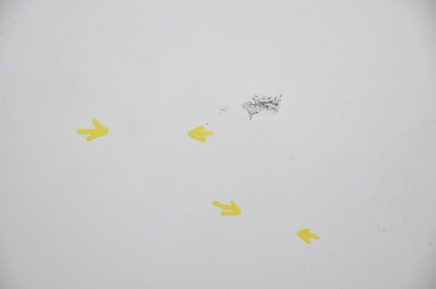 MASKA POKRYWA SILNIKA PEUGEOT BIPPER