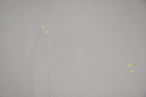 MASKA POKRYWA SILNIKA NISSAN QASHQAI I J10