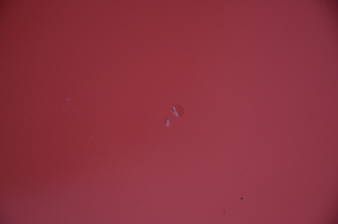 MASKA POKRYWA SILNIKA PEUGEOT 207