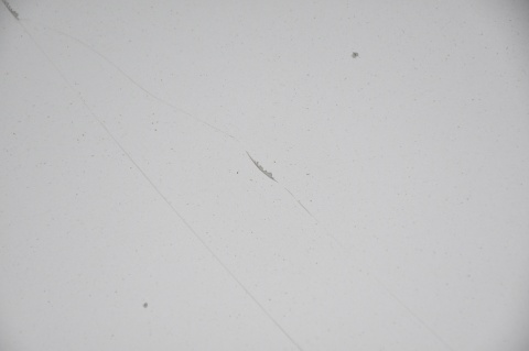 MASKA POKRYWA SILNIKA MERCEDES C-KLASA W203 C744