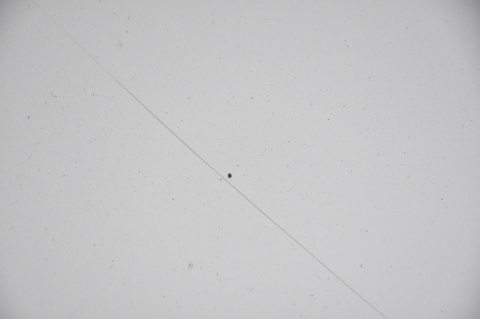 MASKA POKRYWA SILNIKA MERCEDES C-KLASA W203 C744