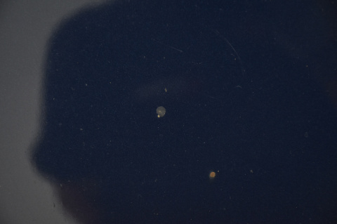 MASKA POKRYWA SILNIKA FORD C-MAX MK1