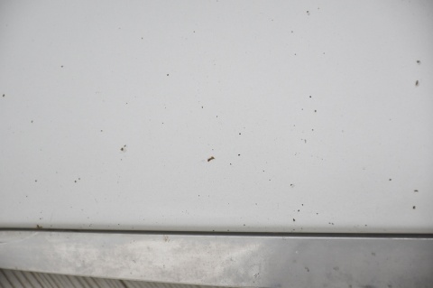 MASKA POKRYWA SILNIKA MERCEDES W203 SPORTCOUPE C775