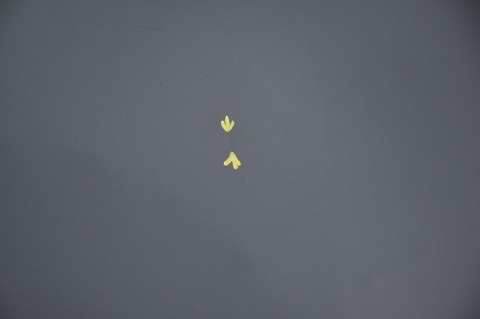 MASKA POKRYWA SILNIKA OPEL INSIGNIA A