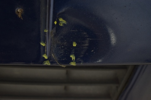 ZDERZAK PRZEDNI PRZÓD VW GOLF V 5