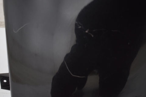 BŁOTNIK PRZEDNI PRZÓD PRAWY RENAULT SCENIC III