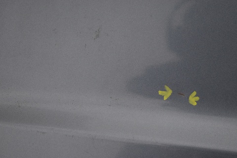 MASKA POKRYWA SILNIKA HONDA CR-V CRV II