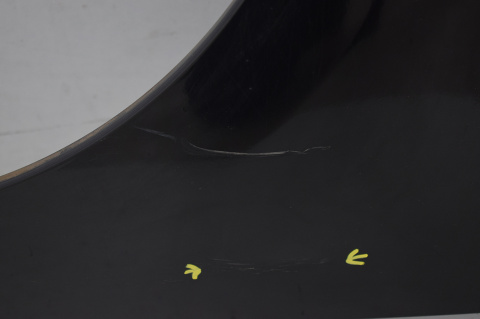 BŁOTNIK PRZEDNI PRZÓD LEWY RENAULT SCENIC III TEGNE