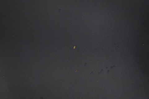 MASKA POKRYWA SILNIKA FORD S-MAX