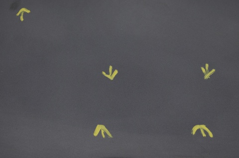 MASKA POKRYWA SILNIKA HONDA FR-V FRV NH684P