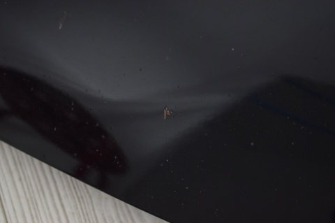 MASKA POKRYWA SILNIKA MAZDA 5 I