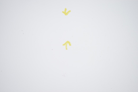 MASKA POKRYWA SILNIKA MAZDA 6 II GH