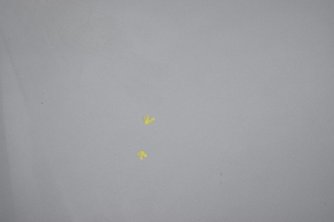 MASKA POKRYWA SILNIKA VW PASSAT B6 LC7Z